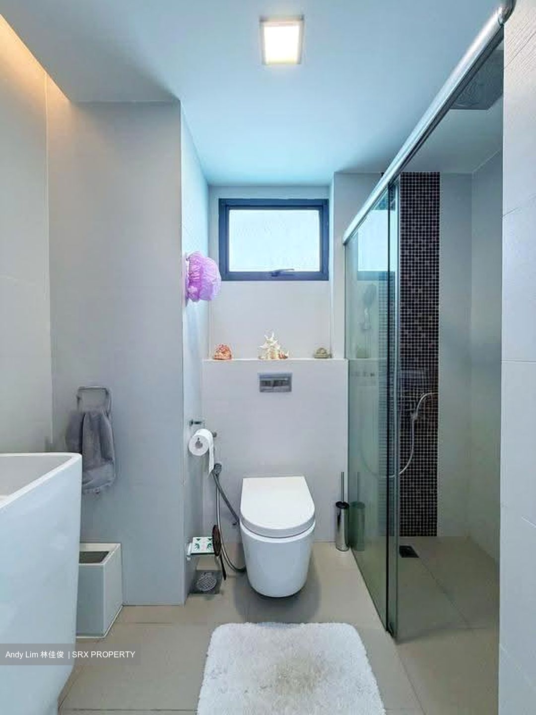 Mirage Tower (D9), Condominium #637537411
